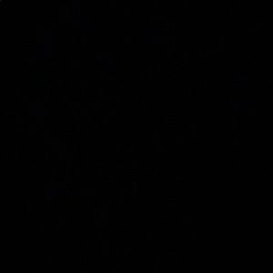 Meet your Posher, Gabby